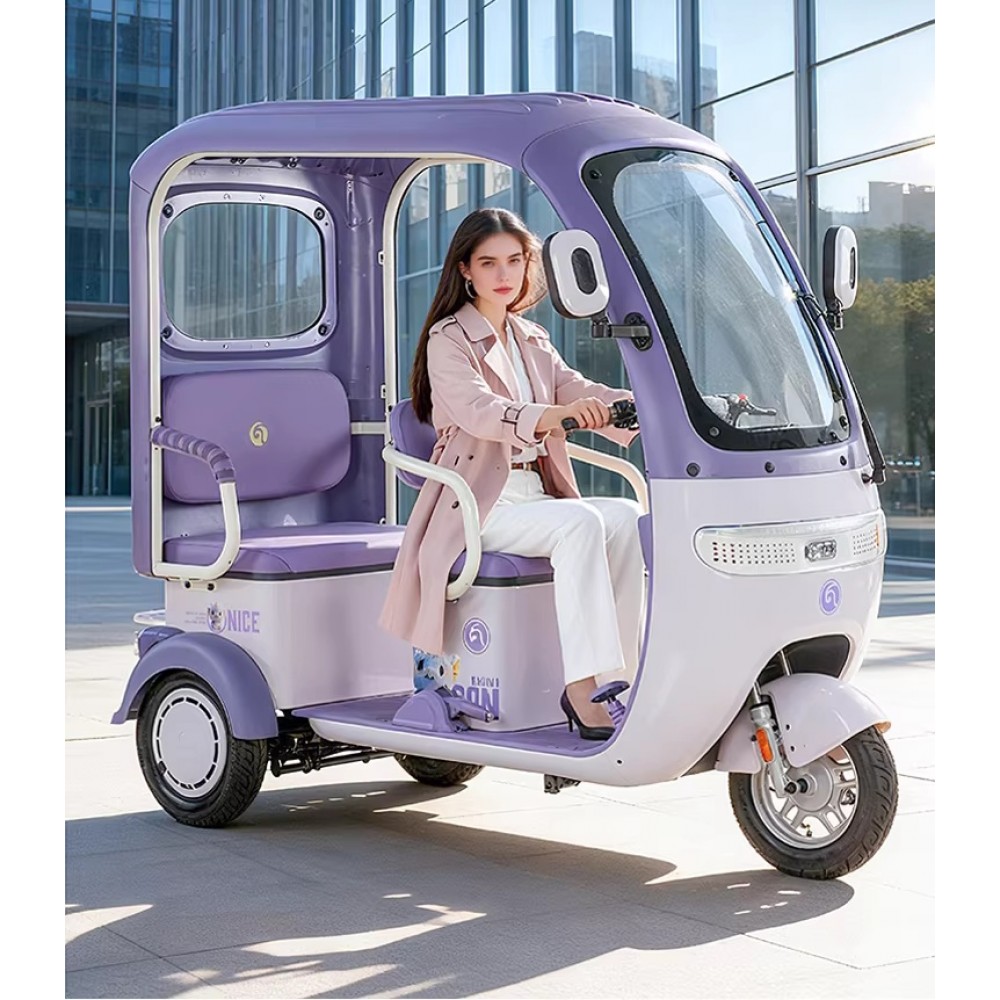 Electric Tricycle With Rain Shelter, Enclosed Shed, Women's Household, Small Elderly People, Commuting, Picking Up And Dropping Off Children, Electric Scoote