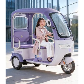Electric Tricycle With Rain Shelter, Enclosed Shed, Women's Household, Small Elderly People, Commuting, Picking Up And Dropping Off Children, Electric Scoote
