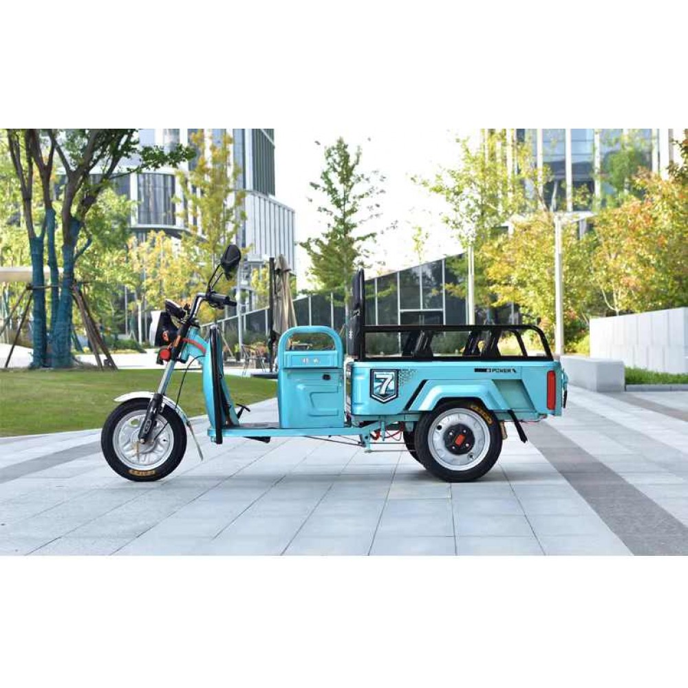 Chowwei Brand Electric Battery Three-Wheeler: Home Use, Compact Vehicle for Child Transport, Stall Business, Passenger Transport, Elderly Use, Agricultural Vehicle