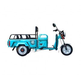 Chowwei Brand Electric Battery Three-Wheeler: Home Use, Compact Vehicle for Child Transport, Stall Business, Passenger Transport, Elderly Use, Agricultural Vehicle